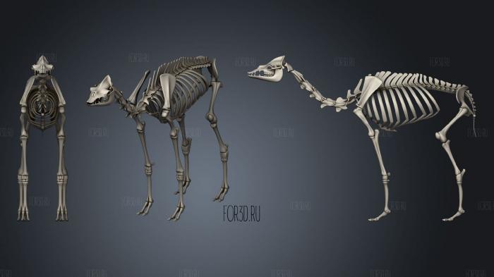 Camel Skeleton stl model for CNC
