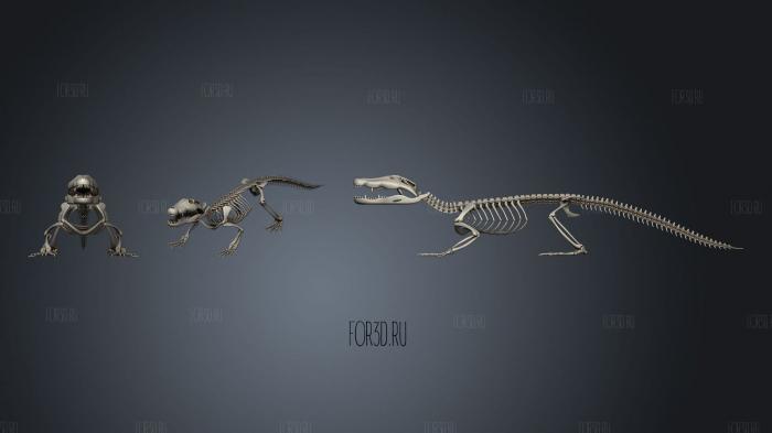 Скелет крокодила 3d stl модель для ЧПУ