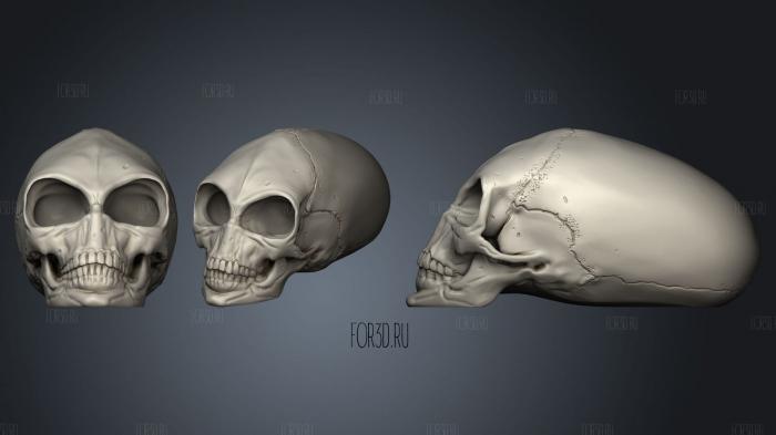 Crystal Skull 3d stl модель для ЧПУ