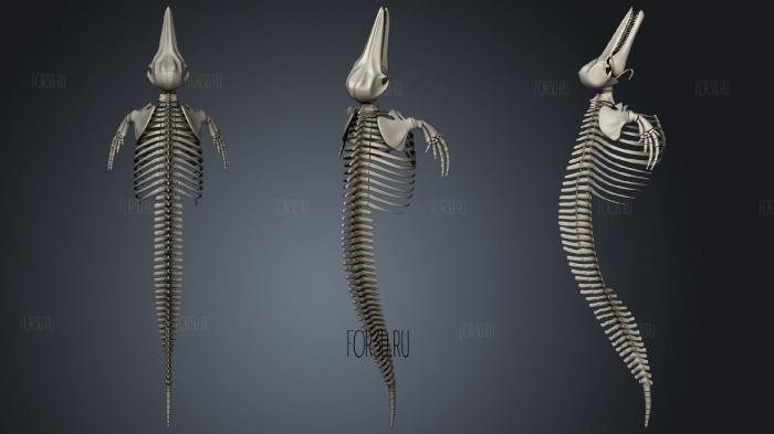 Скелет дельфина 3d stl модель для ЧПУ