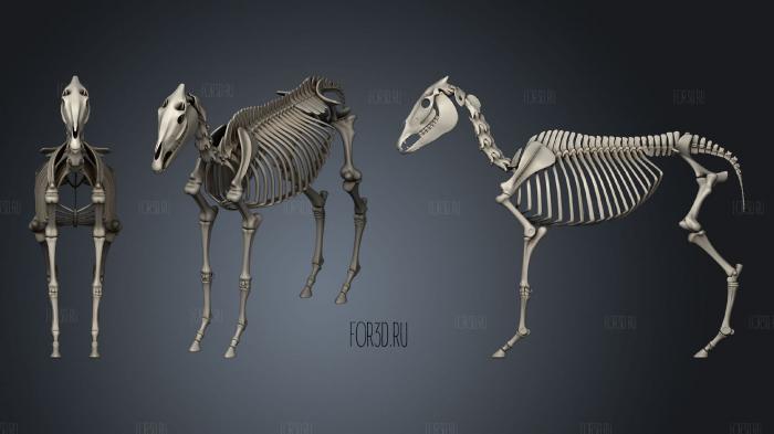 Donkey Skeleton stl model for CNC