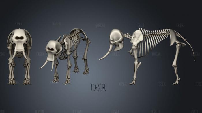 Elephant Skeleton stl model for CNC