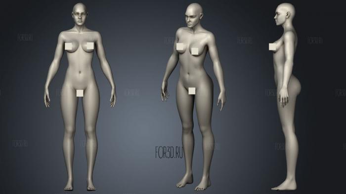 Female Anatomy Human base mesh stl model for CNC