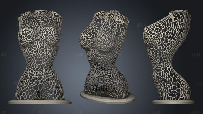 Ремикс на женское тело в стиле Voronoi версия 4 3d stl модель для ЧПУ
