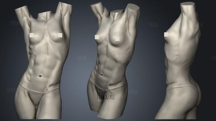 Female torso anatomy stl model for CNC