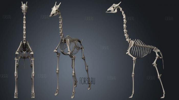 Скелет жирафа 3d stl модель для ЧПУ