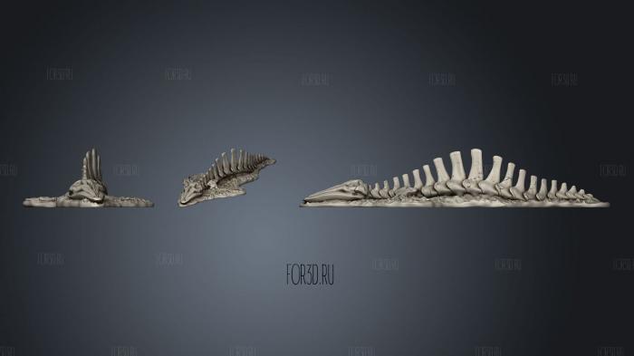 Going Down The Drain Whale Skeleton 3d stl модель для ЧПУ