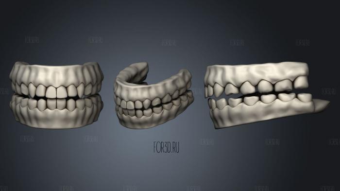 Highly Detailed Human Teeth stl model for CNC