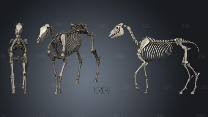 Horse Skeleton stl model for CNC