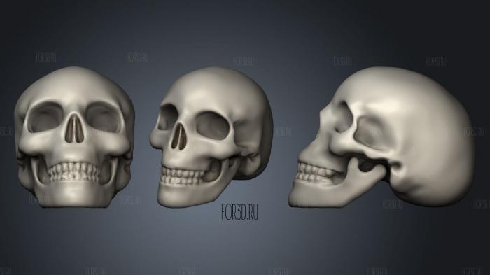 Human Skull (1) 3d stl модель для ЧПУ