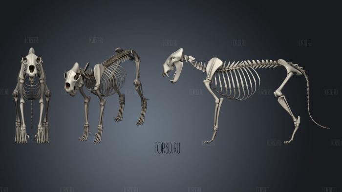 Скелет льва 3d stl модель для ЧПУ