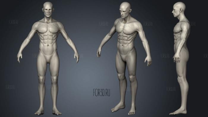 Male anatomy figure stl model for CNC