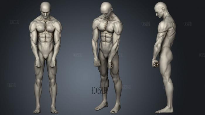 Male anatomy sculpt 1 2 stl model for CNC