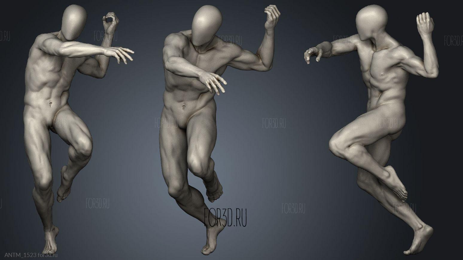 A Rookie's Guide to Sculpting an Anatomy Study