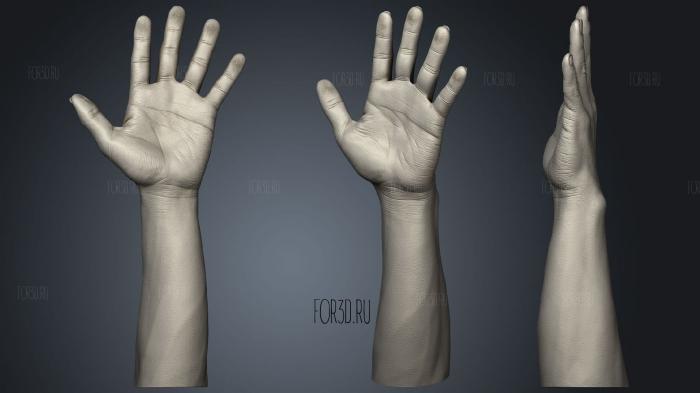Male Hand 3d stl модель для ЧПУ