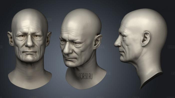 Male Head Sculpt 03 stl model for CNC