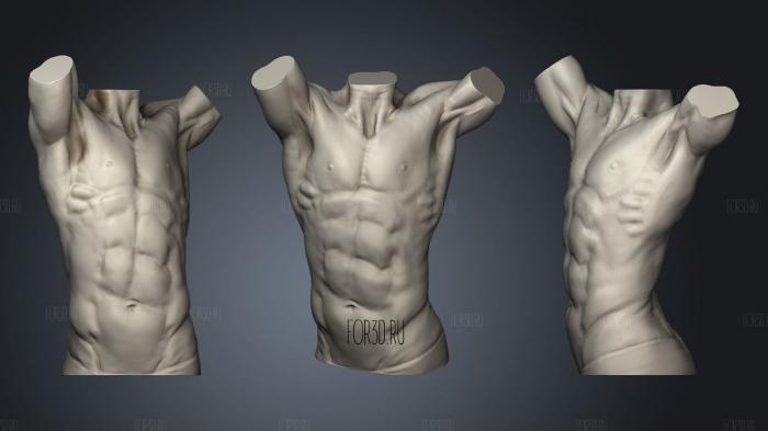 Male torso anatomy stl model for CNC