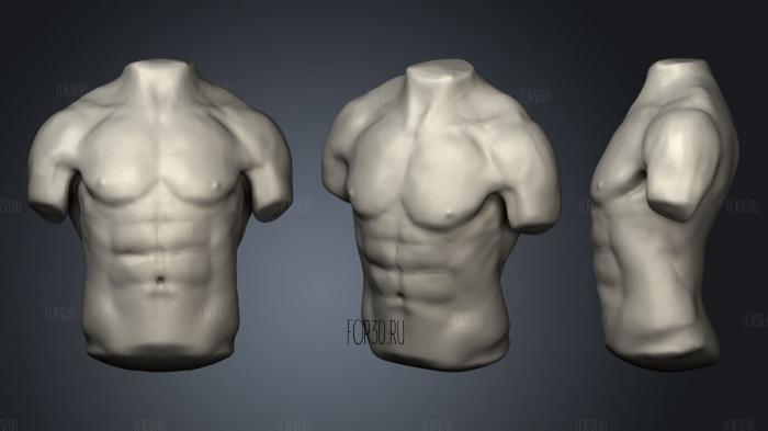 Male torso stl model for CNC