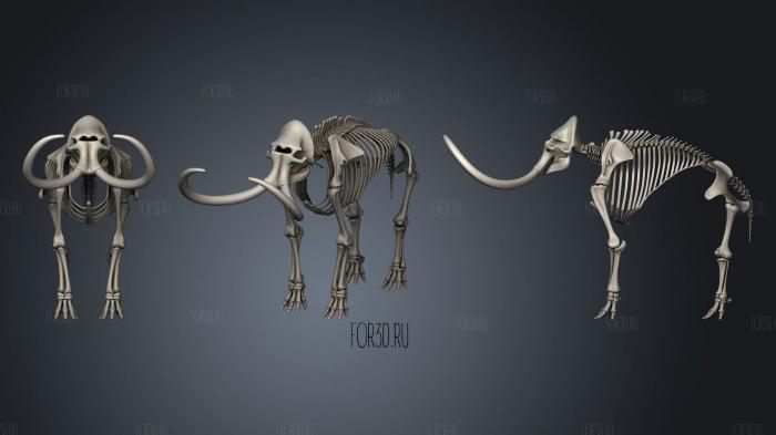 Mammoth Skeleton stl model for CNC