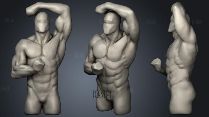 Анатомия торса мужчины 3d stl модель для ЧПУ