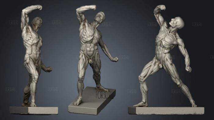 Muscle Body Sculpture stl model for CNC