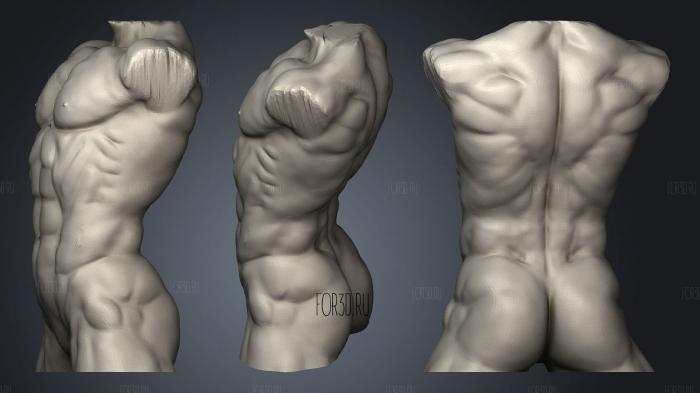 Muscular Man Bust Bodybuilder stl model for CNC