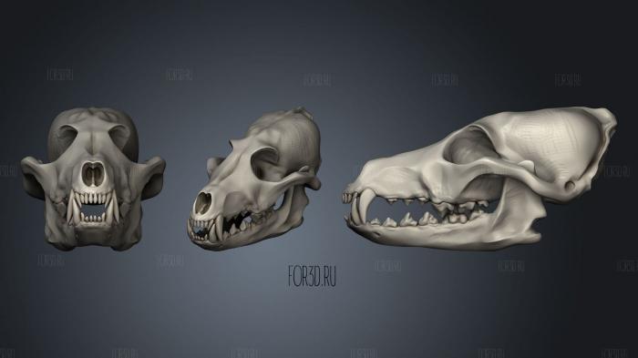Neolithic Dog Skull 2 stl model for CNC