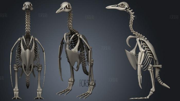 Скелет пингвина 3d stl модель для ЧПУ