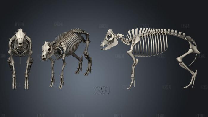 Pig Skeleton stl model for CNC