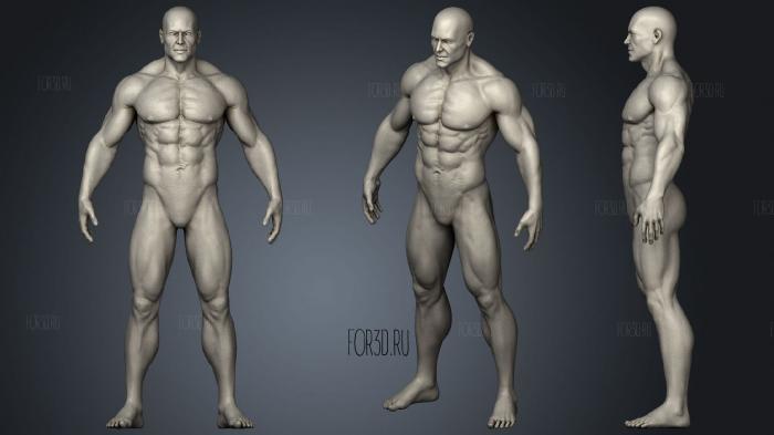 Realistic Male Anatomy stl model for CNC