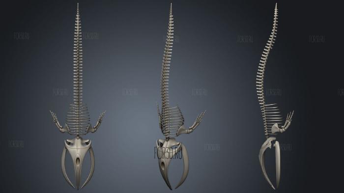 Right Whale Skeleton stl model for CNC