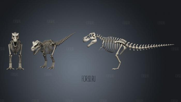Скелет Тираннозавра 2