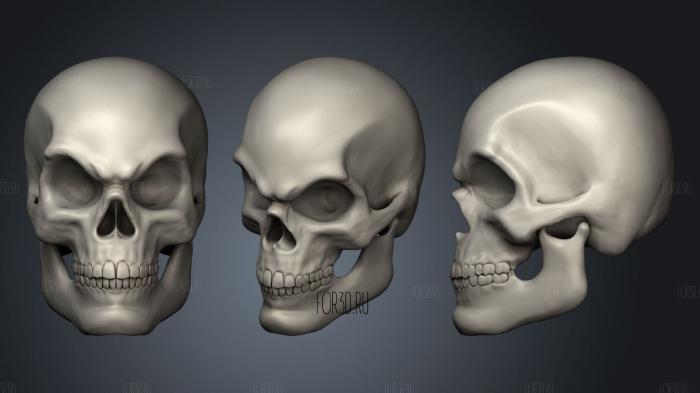 Skull 2 stl model for CNC