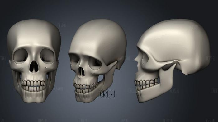 Skull 11 stl model for CNC