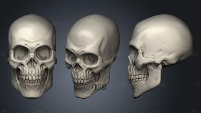 Skull head zbrush course stl model for CNC