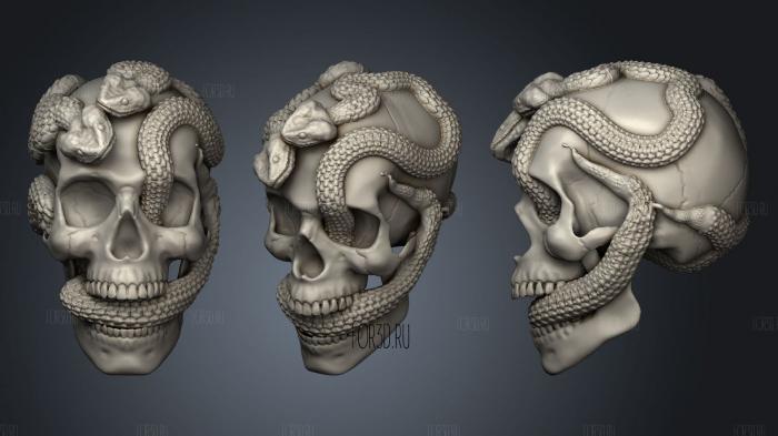 Skull Snake stl model for CNC
