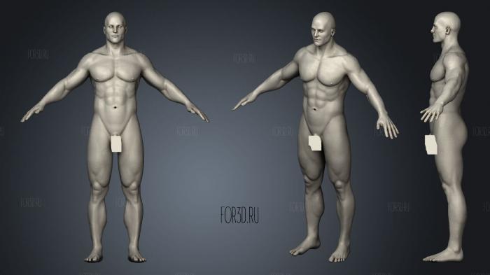 Изучайте Мужскую Скульптуру Человека 3d stl модель для ЧПУ