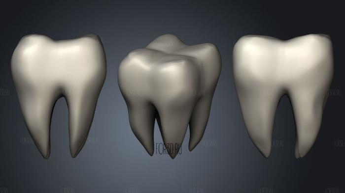 Tooth 16 stl model for CNC