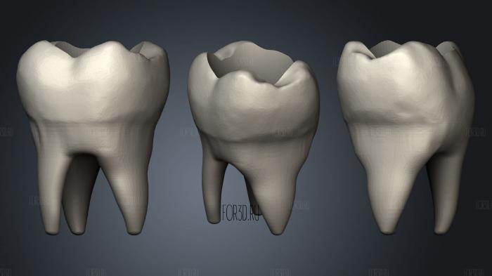Tooth vase stl model for CNC