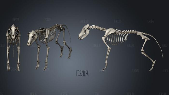 Wolf Skeleton stl model for CNC