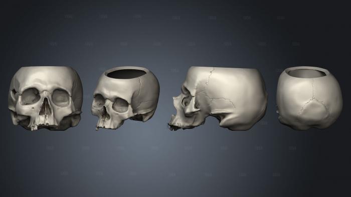 skull box stl model for CNC