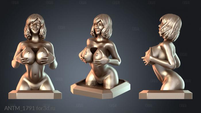 ANTM_1791 stl model for CNC