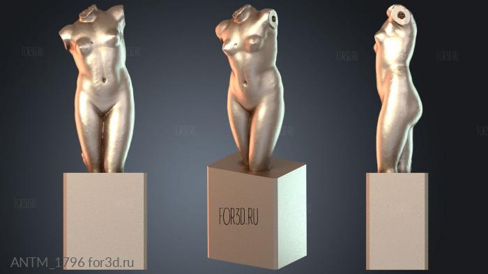 ANTM_1796 stl model for CNC