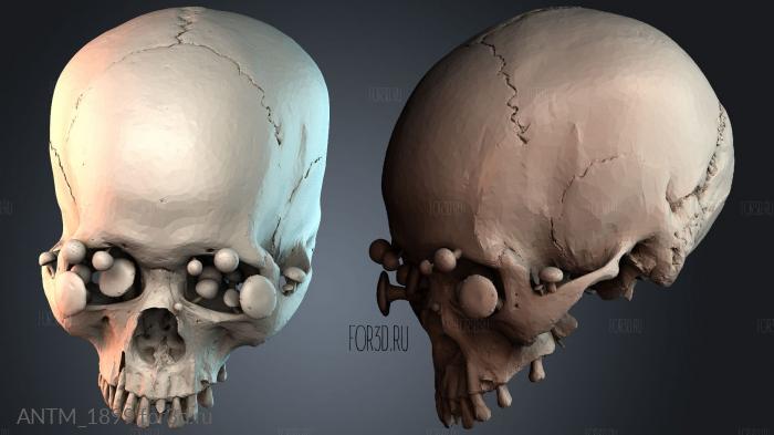 ANTM_1899 3d stl модель для ЧПУ