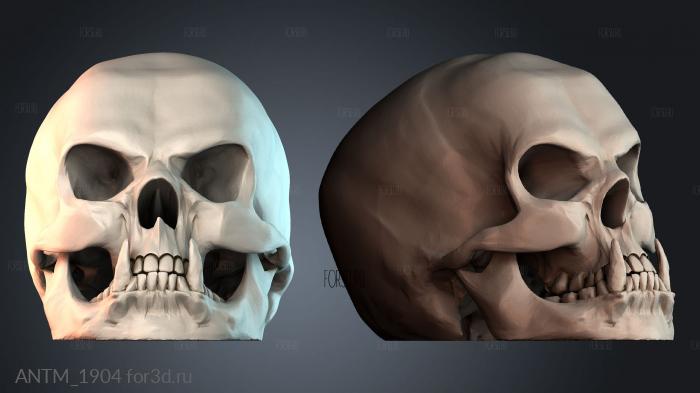 ANTM_1904 3d stl модель для ЧПУ