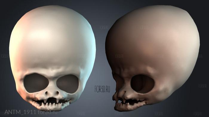 ANTM_1911 3d stl модель для ЧПУ