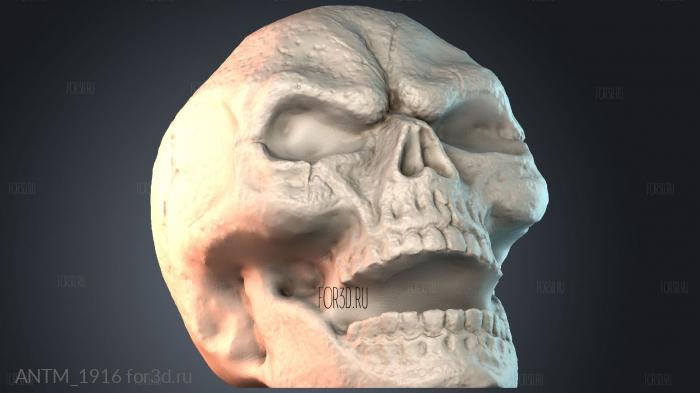 ANTM_1916 3d stl модель для ЧПУ