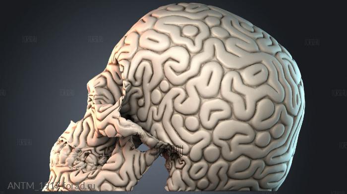 ANTM_1917 3d stl модель для ЧПУ