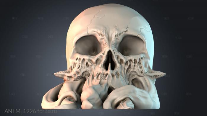 ANTM_1926 3d stl модель для ЧПУ