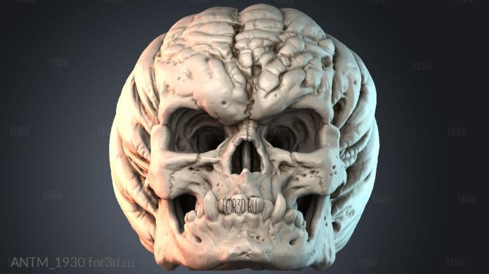 ANTM_1930 3d stl модель для ЧПУ